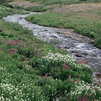 Janet Fairchild Photo 27