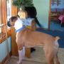 Janet Sawyer Photo 38