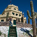 Carla Castle Photo 16