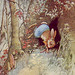 Ernest Little Photo 24