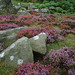 Heather Edge Photo 7