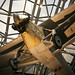 Charles Ryan Photo 19