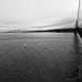 David Akey Photo 14