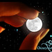 Ana Ash Photo 20