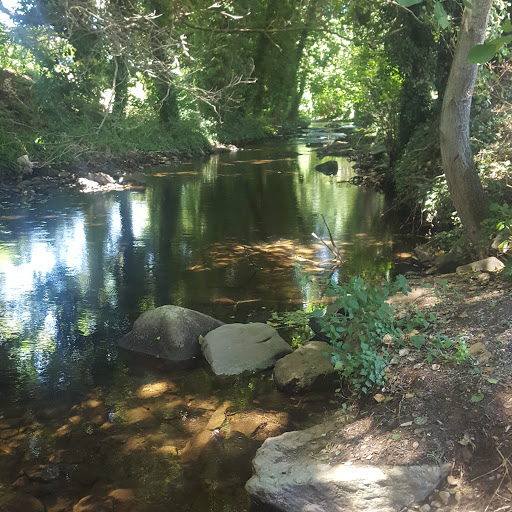 Charles Thorne Photo 12
