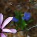 Jenny Duke Photo 32