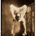 John Hilton Photo 35