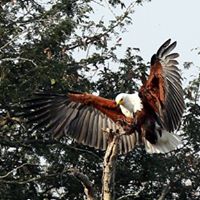 David Fitzhugh Photo 13
