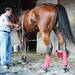 Eddie Adams Photo 13