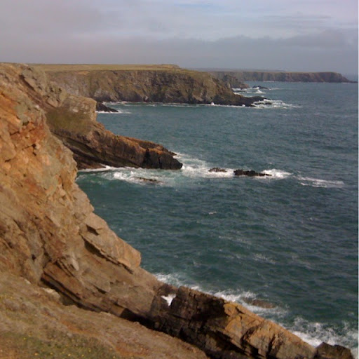 David Beeby Photo 4