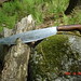 David Farmer Photo 22