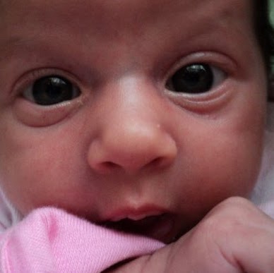 Catherine Estrada Photo 19