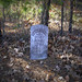 Joseph Holcomb Photo 15