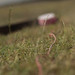 Richard Workman Photo 17