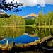 John Gibbs Photo 28