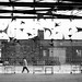 Hector Ray Photo 11