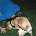 Amanda Patterson Photo 51