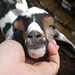 Billy Cheek Photo 15
