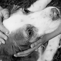 Ann Connors Photo 16