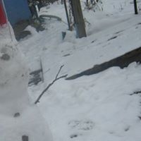 Randy Adkins Photo 8