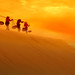 Trang Luong Photo 14