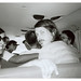 Julie Halstead Photo 29