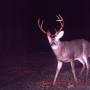 Andrew Gamble Photo 20