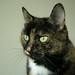 Janie Robinson Photo 36