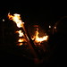 Carol Sutton Photo 39