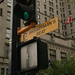 Elizabeth Wasserman Photo 33
