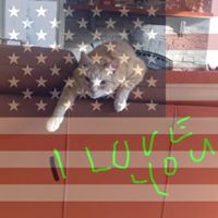 Kathleen Mosher Photo 19