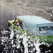 Elizabeth Comins Photo 2