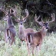 Larry Beck Photo 21