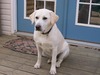 Gail Mcdonald Photo 11