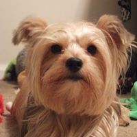 Sherry Webber Photo 6