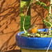 Lynn Robins Photo 9