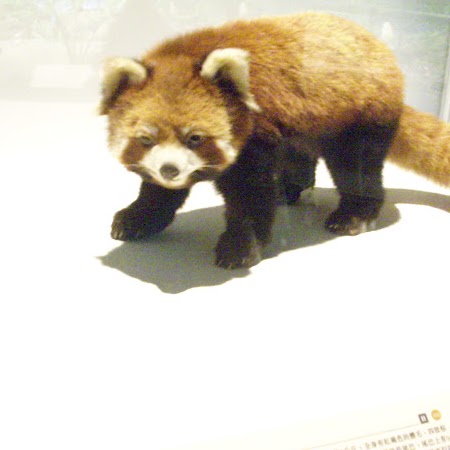 Wing Hui Photo 16