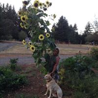Debra Kent Photo 16