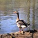 Don Bucci Photo 14