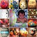 Aleta Rose Photo 9
