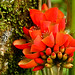 Daniel Velasco Photo 6