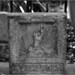 Alice Burt Photo 18