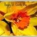 David Leek Photo 13