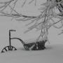 Robert Leger Photo 11