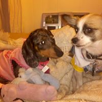 Daisy Brown Photo 40
