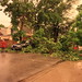 Stephanie Mckinley Photo 38