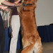 Brenda Phillips Photo 9