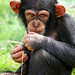 Walter Young Photo 2