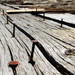 Lynn Whitmore Photo 24