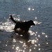 Sally Turk Photo 15